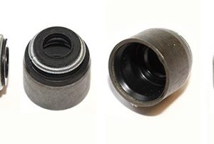 Renault / Nissan Valve stem seals-inl/exh 16pc (5.5x9x11.5)