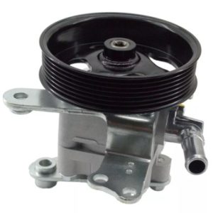 Proton power steering pump