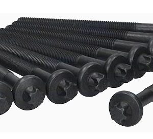 Renault cyl head stretch bolt set (10) 102mm M9