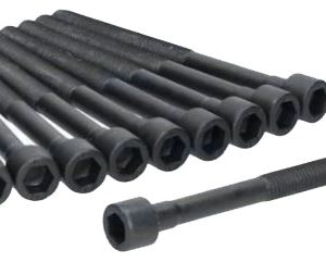 Renault / Nissan cyl head stretch bolt set (10) 123mm M10