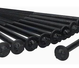 Mini cyl head stretch bolt set (10) 200mm M12
